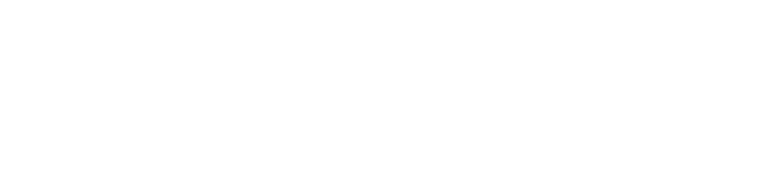 The Paul Martin Team Logo